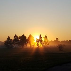 Meet your Posher, Lina